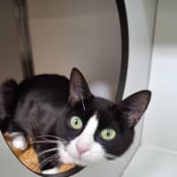 Photo of Peppermint Patty