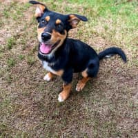 Photo of Coco