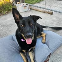 Photo of Tiala