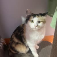 Photo of Ladybug