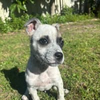 Photo of Preslee