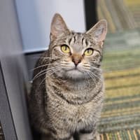 Photo of Luna