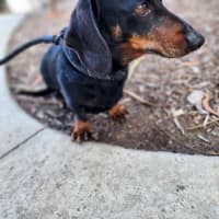 Photo of 🌞 Sonny 6191 🌞