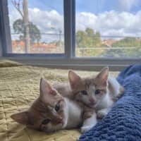 Photo of Elodie & Etienne