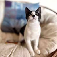 Photo of Cee Cee   Located In Eltham