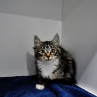 Photo of Vanya