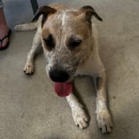 Photo of Macie