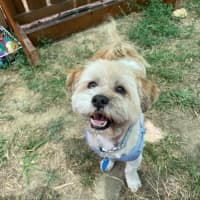 Photo of Akira And Meiko