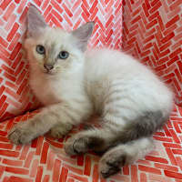 Photo of Missy