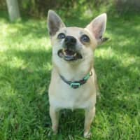 Photo of Tito