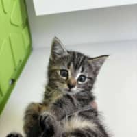Photo of Holly