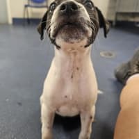 Photo of Dorothy Anne