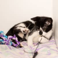 Photo of Killian