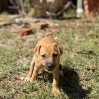 Photo of Milly