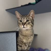Photo of Manny