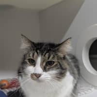 Photo of 🩵 Mocha 6980 🩵