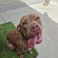 Photo of Meggie 💜