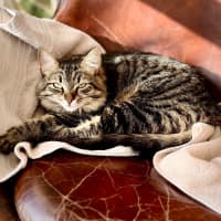 Photo of Lexi & Cara