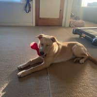 Photo of Daisy