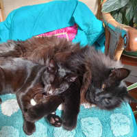 Photo of Nehira
