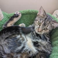 Photo of Miette And Blossom