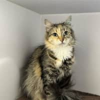 Photo of Mimi Imfurst