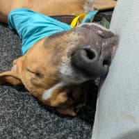 Photo of Juice