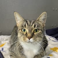 Photo of Matilda