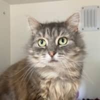 Photo of Winifred