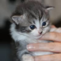 Photo of Moe
