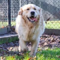 Photo of Sarrh Falko 