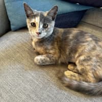 Photo of Stormy