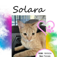 Photo of Solara