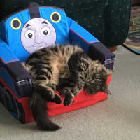 Photo of Hazel