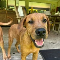 Photo of Clifford Aka Cliffy