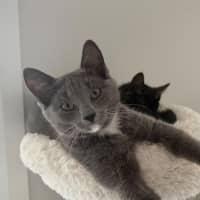 Photo of Arya 🪻💜