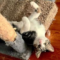 Photo of Francine