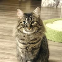 Photo of Herb