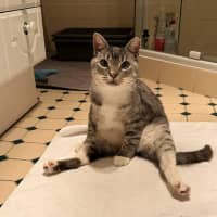 Photo of Thunda