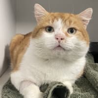 Photo of Manny