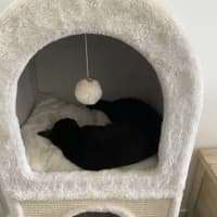 Photo of Salem