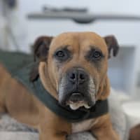 Photo of 💅 Lexi 6188 💅