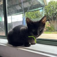 Photo of Luci