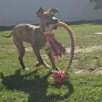 Photo of Tank