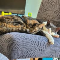 Photo of Stu / Sophie