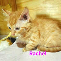 Photo of Rachel