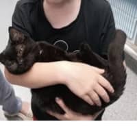 Photo of Salem