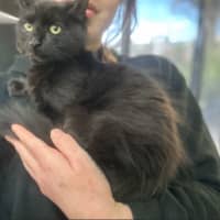 Photo of Loveheart Pasta