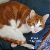 Photo of Frank 