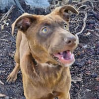 Photo of Xena 